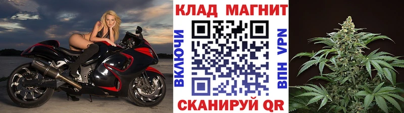 Купить наркотики цена Шуя АМФ  Alpha-PVP  Меф  Канабис  Псилоцибиновые грибы  ГАШ 