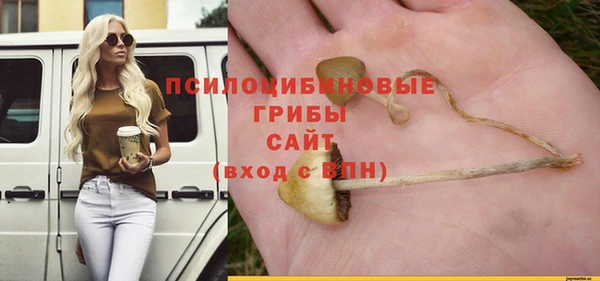 круглые Белокуриха