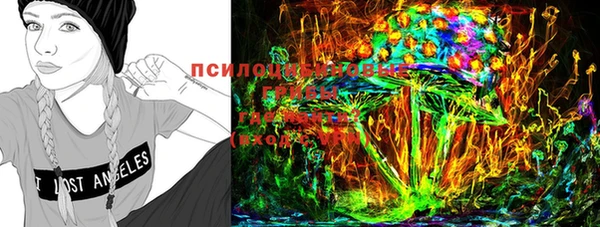 круглые Белокуриха