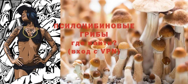 хмурый Пестово