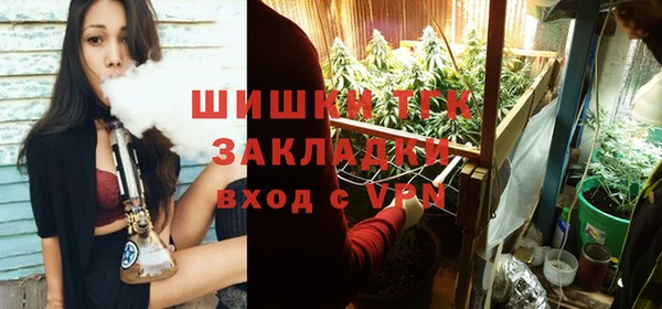 МДПВ Елизово