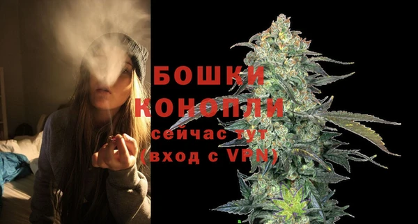 хмурый Пестово